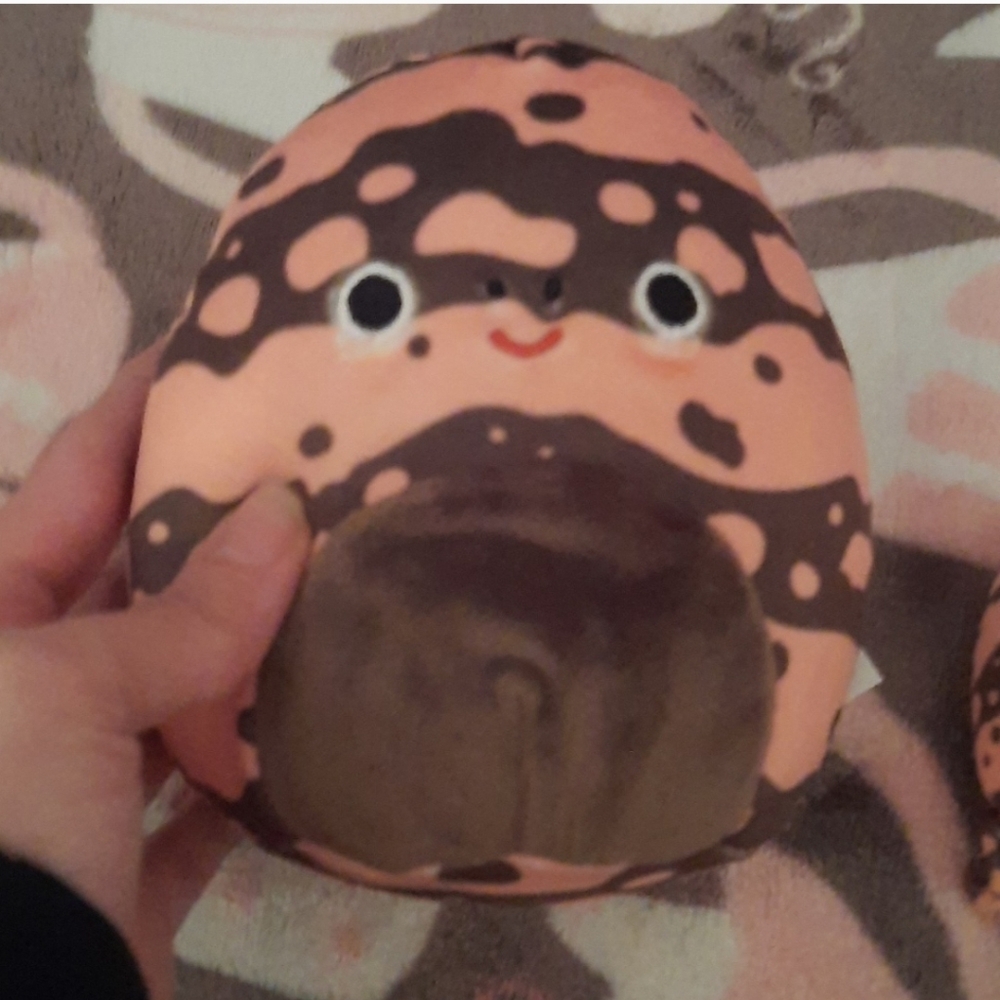Squishmallow Roth the Gila Monster NEW